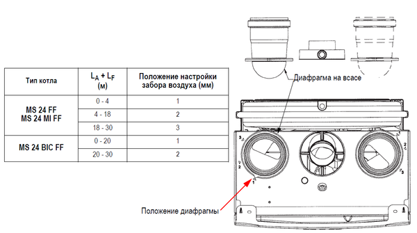 diaphragme MS